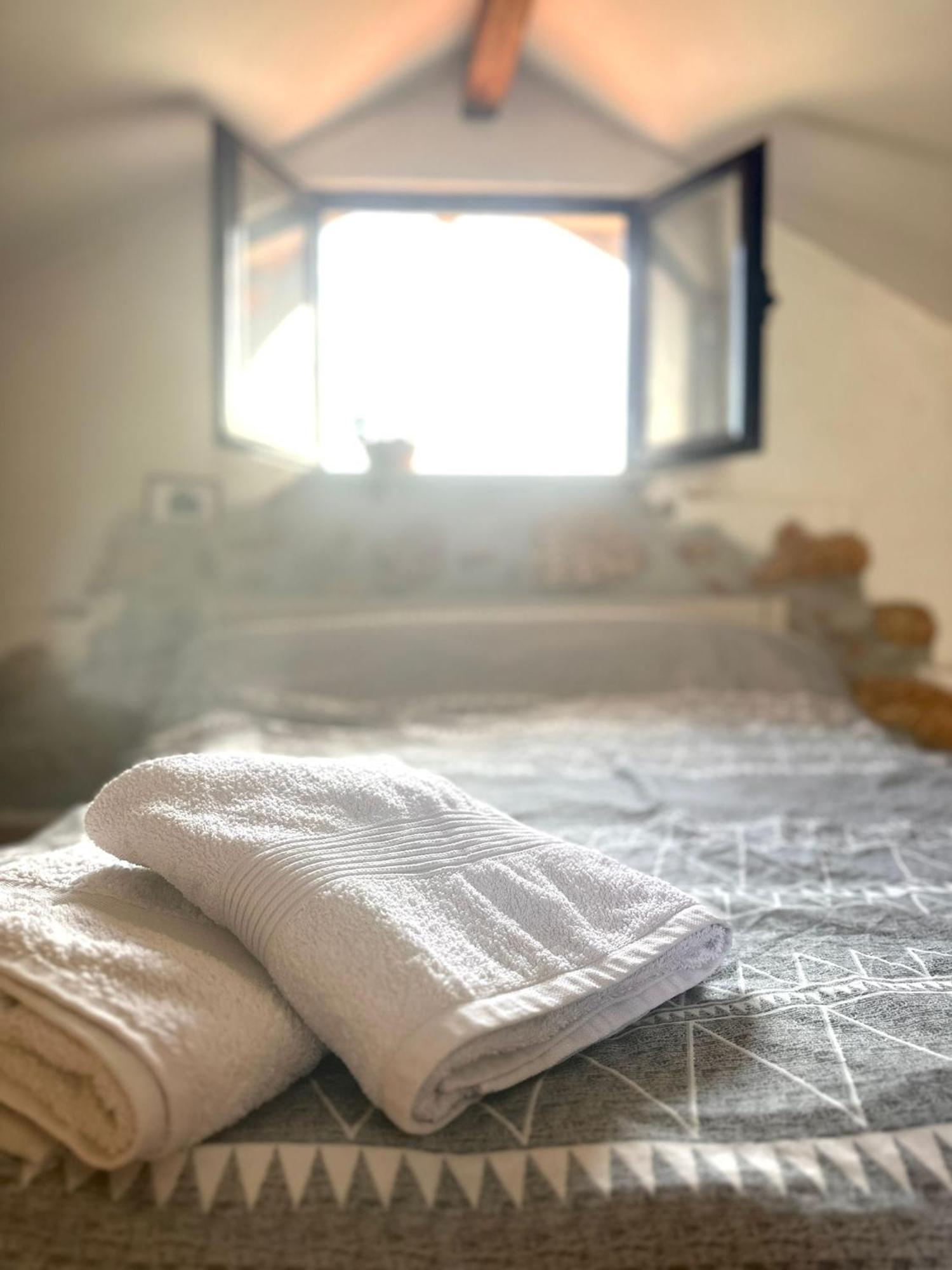 Tábua Casa Trilho The Gaios B&B 외부 사진
