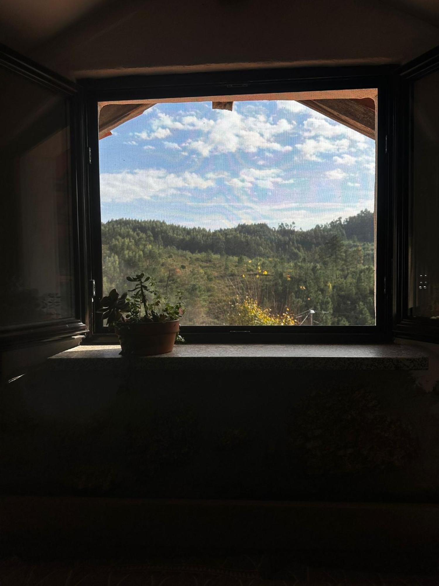 Tábua Casa Trilho The Gaios B&B 외부 사진