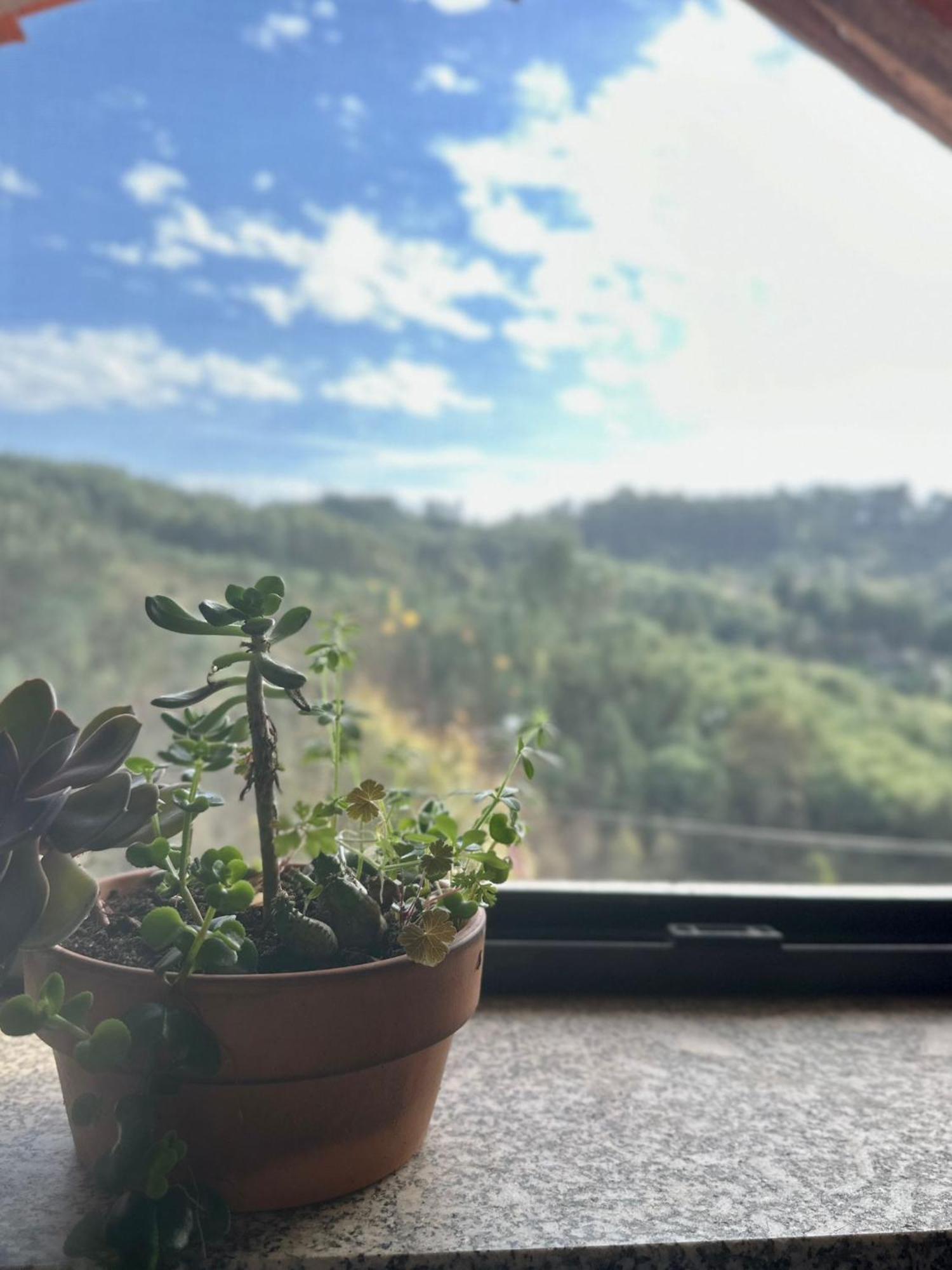 Tábua Casa Trilho The Gaios B&B 외부 사진