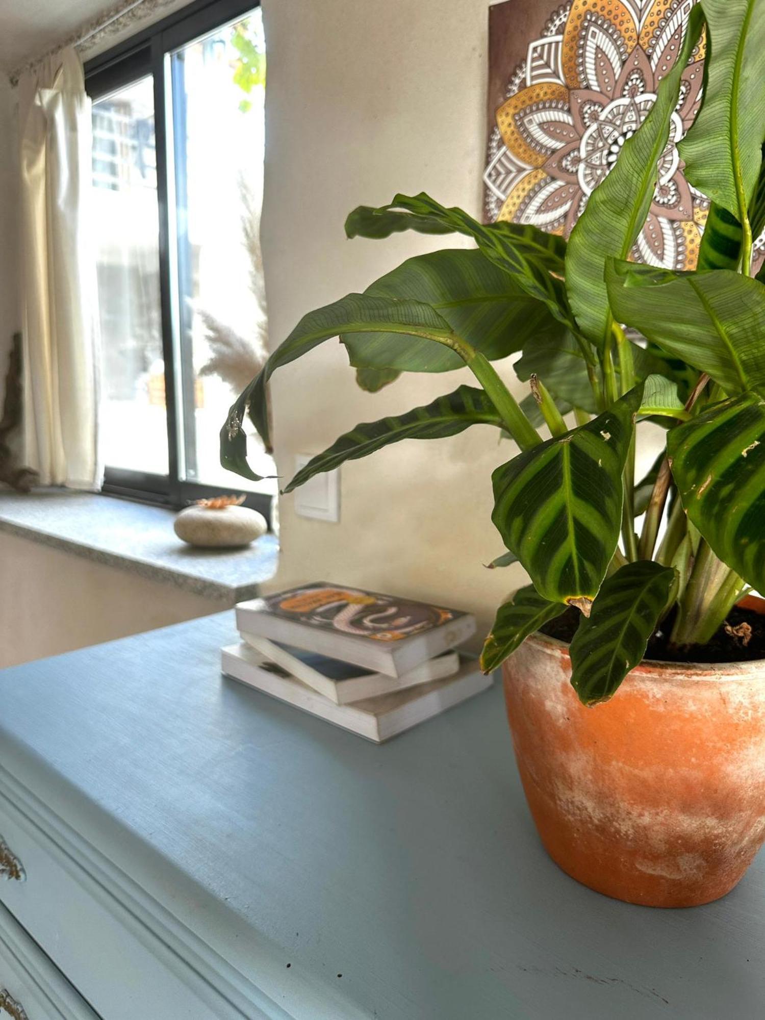 Tábua Casa Trilho The Gaios B&B 외부 사진