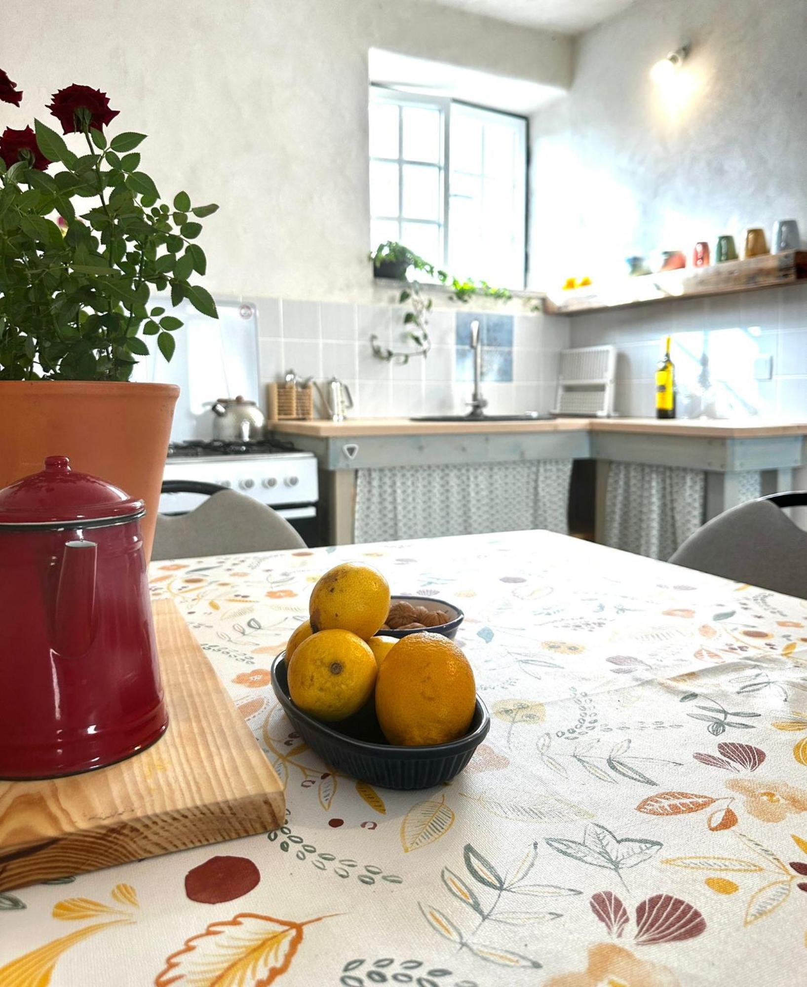 Tábua Casa Trilho The Gaios B&B 외부 사진