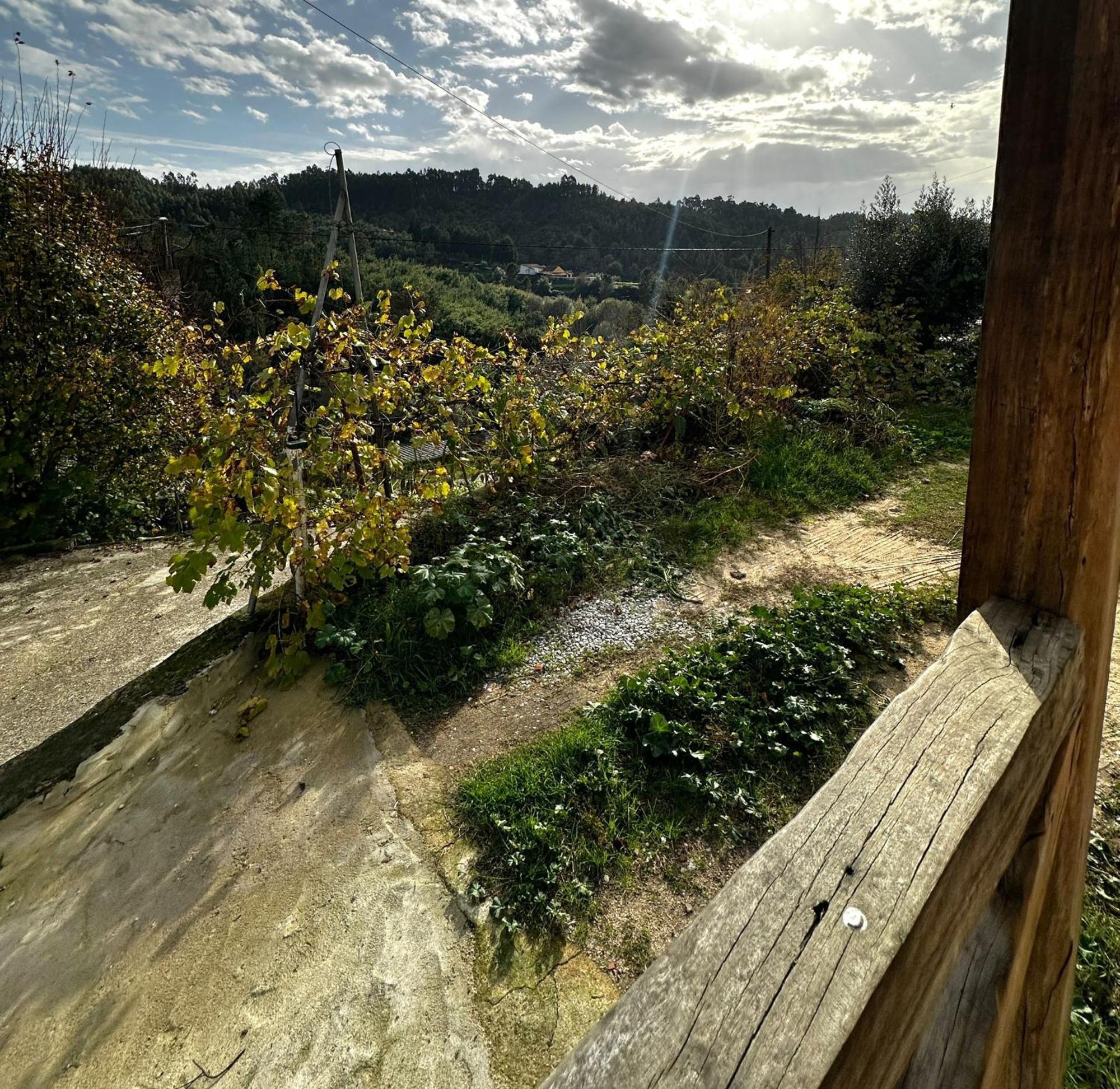 Tábua Casa Trilho The Gaios B&B 외부 사진