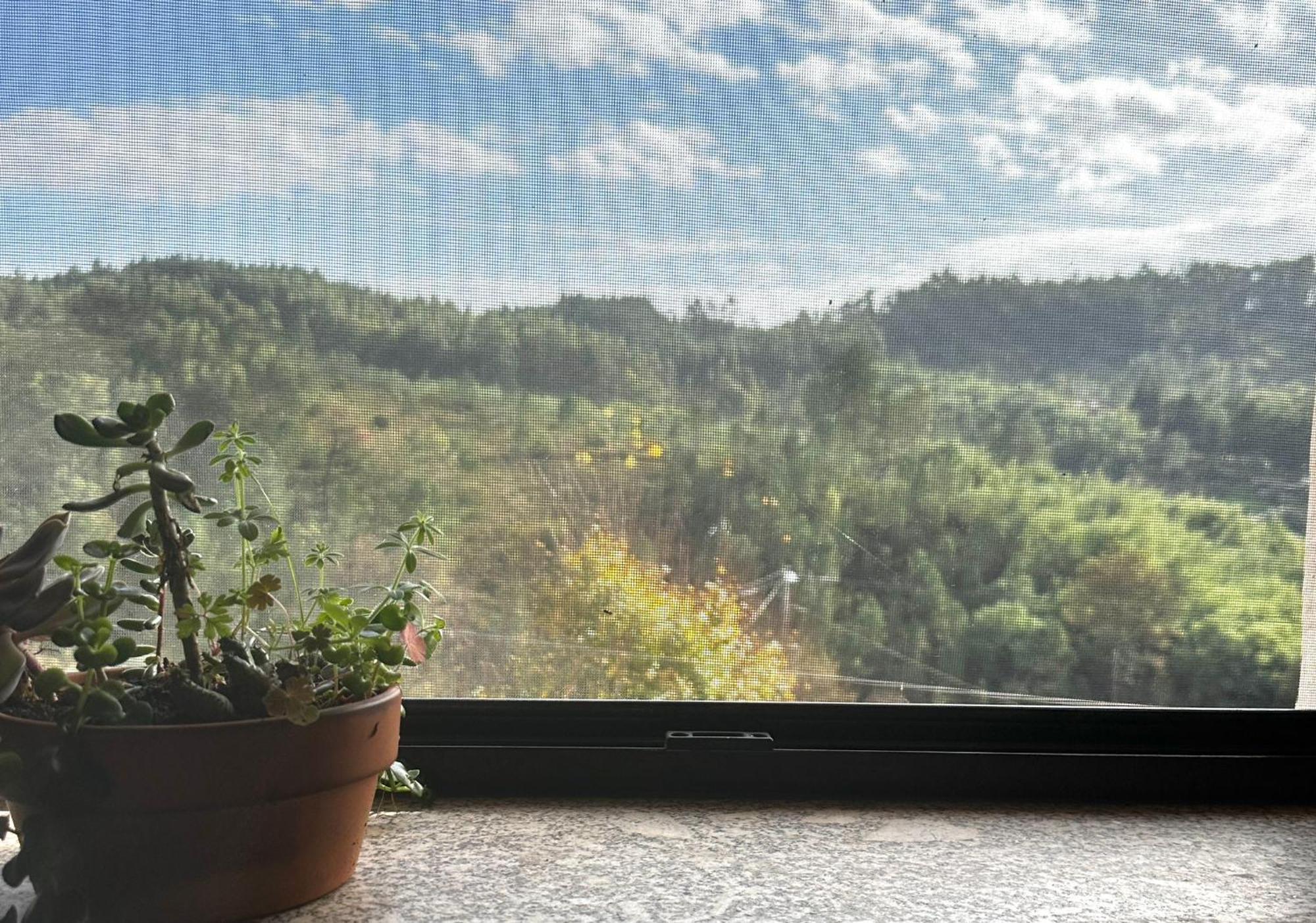 Tábua Casa Trilho The Gaios B&B 외부 사진