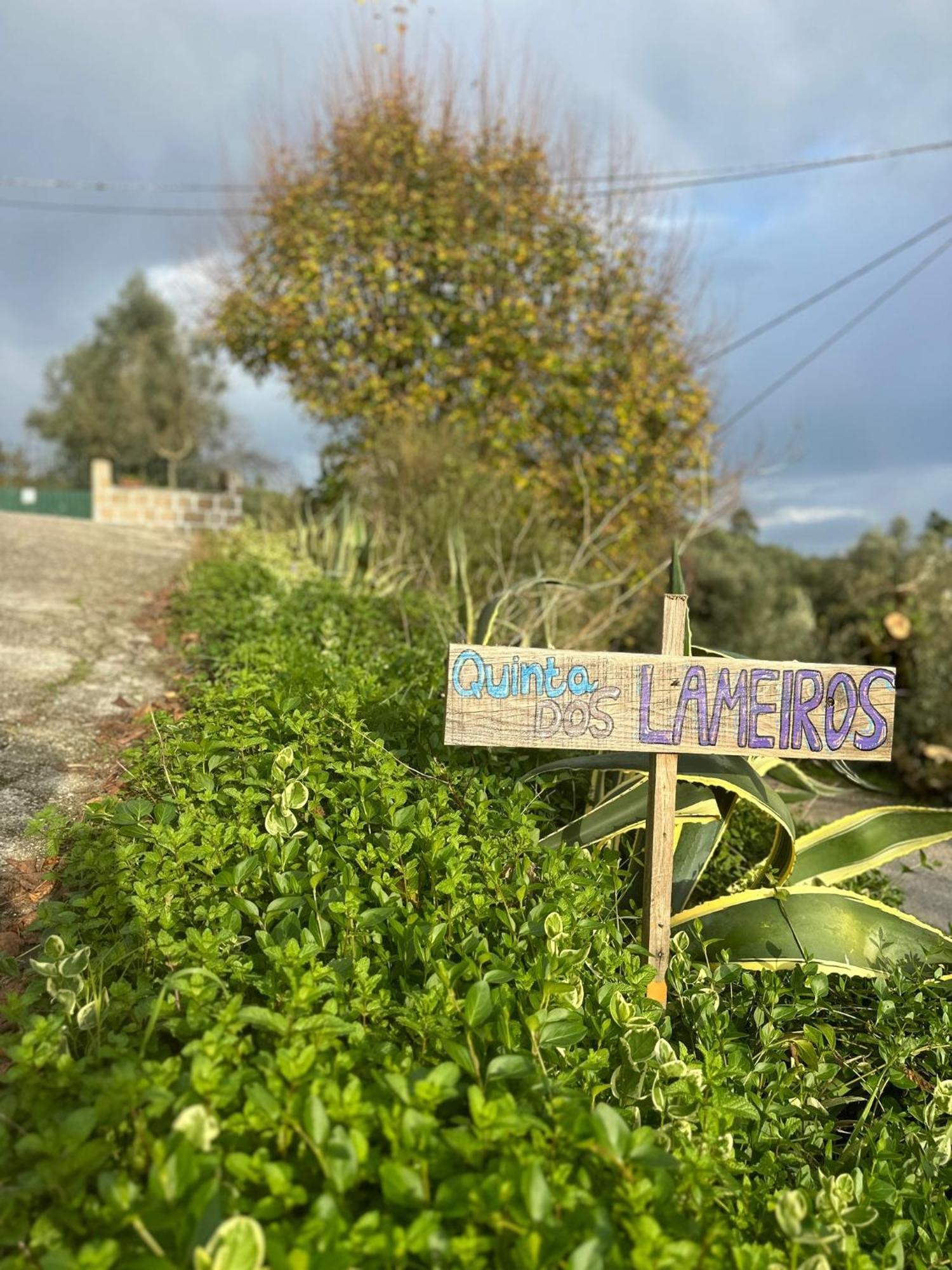Tábua Casa Trilho The Gaios B&B 외부 사진
