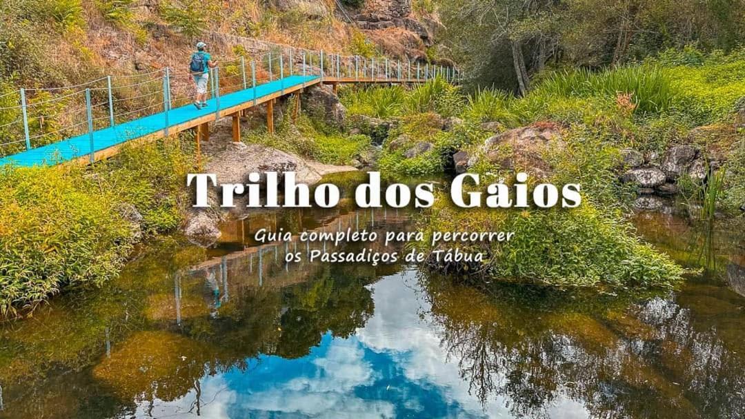 Tábua Casa Trilho The Gaios B&B 외부 사진