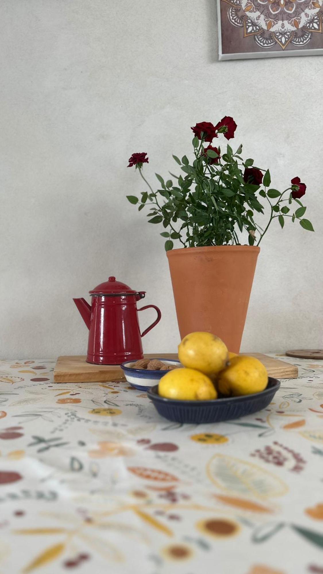 Tábua Casa Trilho The Gaios B&B 외부 사진