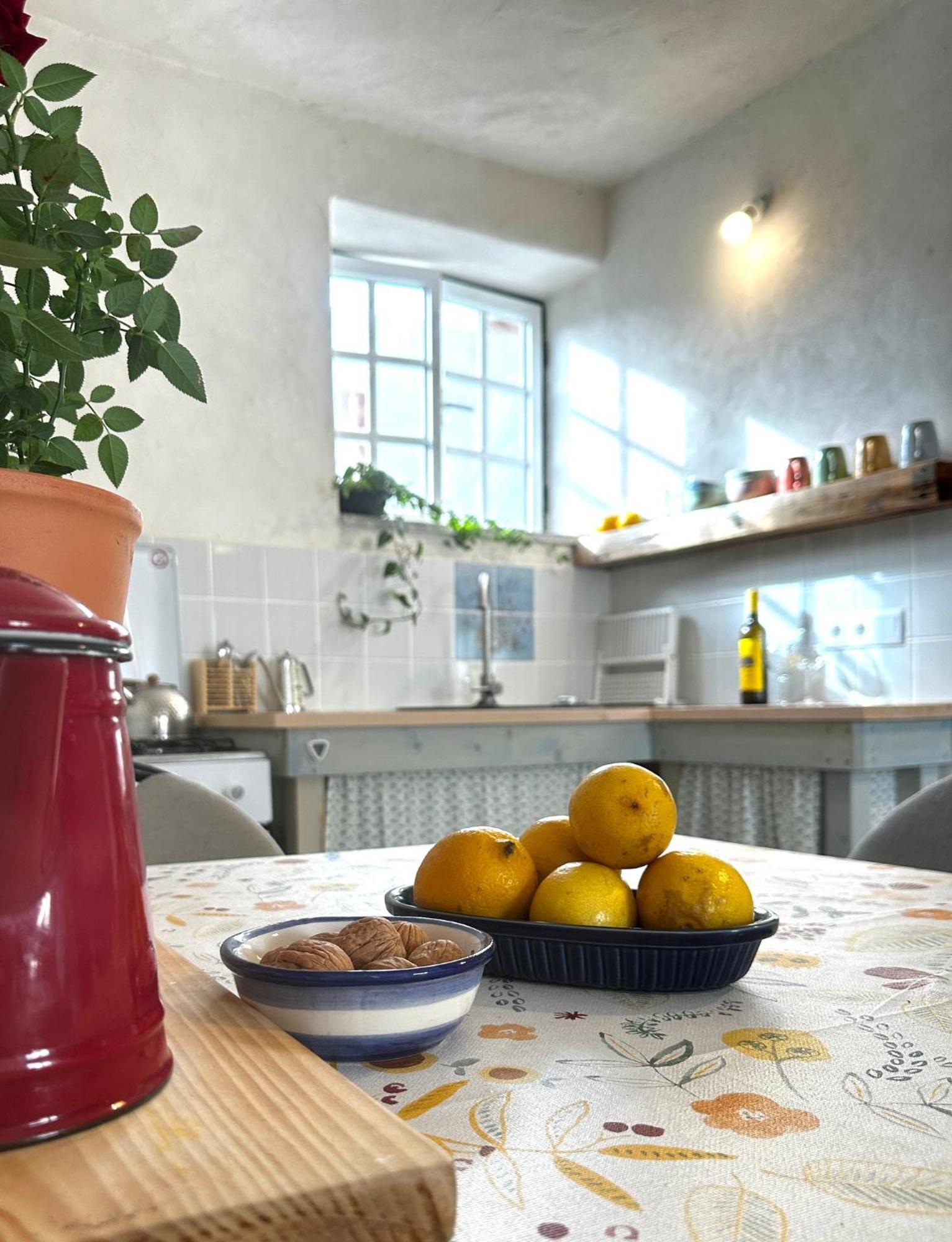 Tábua Casa Trilho The Gaios B&B 외부 사진