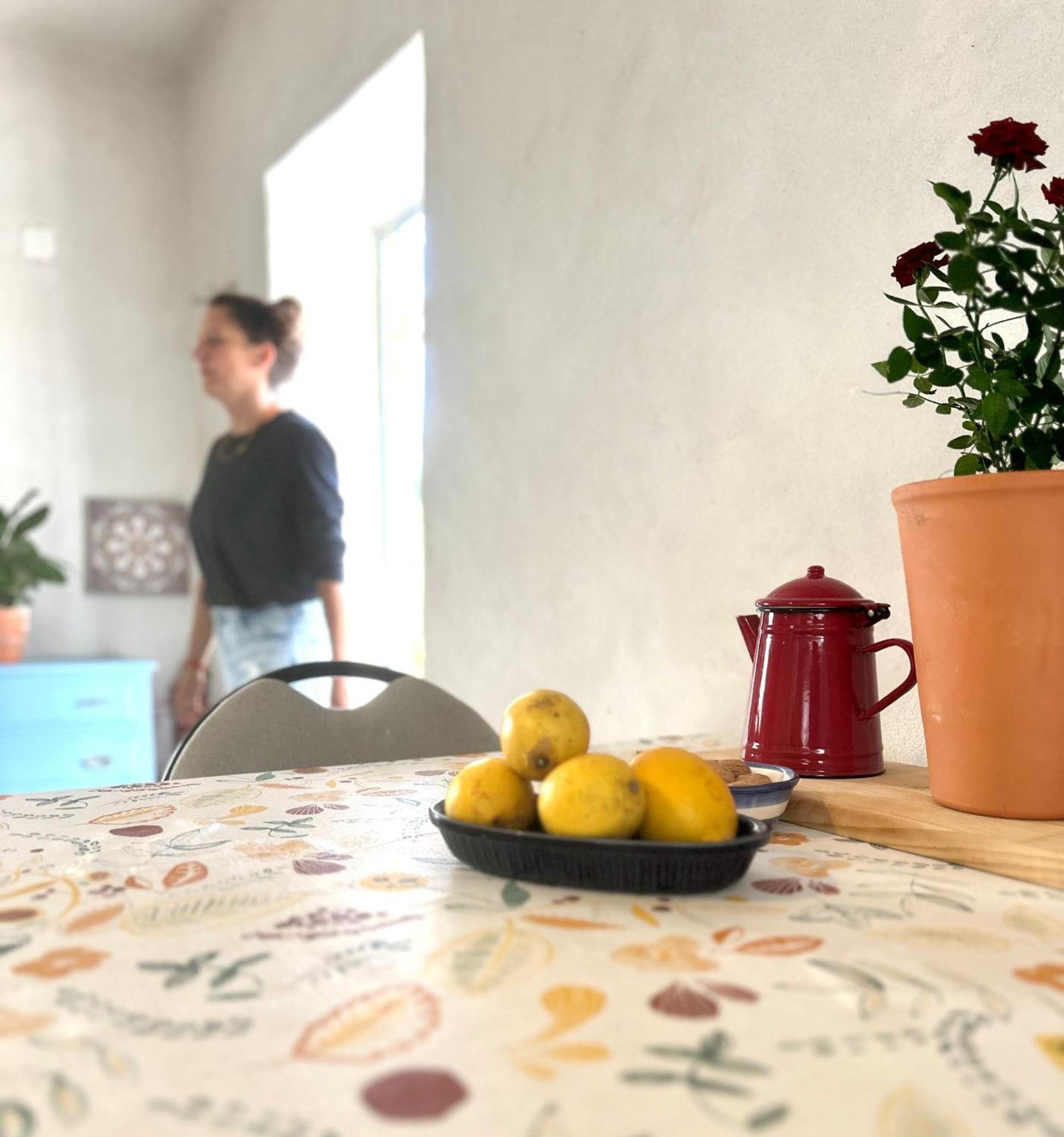 Tábua Casa Trilho The Gaios B&B 외부 사진